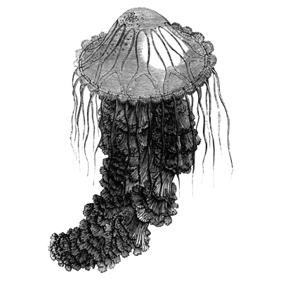 Vjiygg profile picture