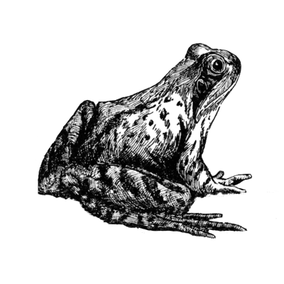 aitndcvlkq profile picture