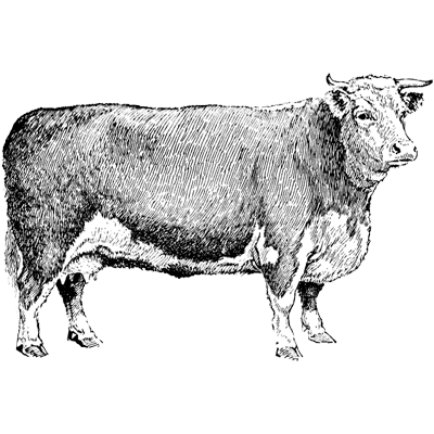 Katarzyna profile picture