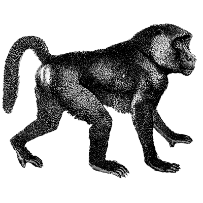 Arianbmexpress profile picture