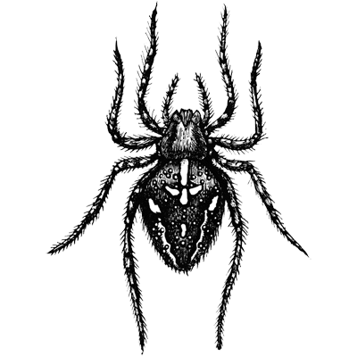 Yeboah profile picture