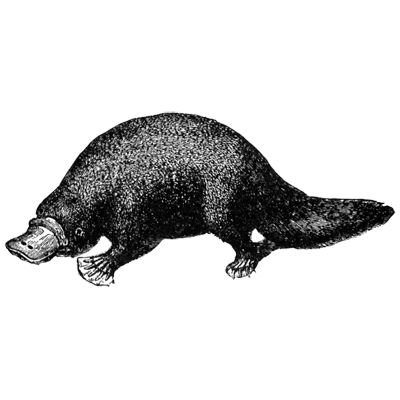 dinhvulon profile picture