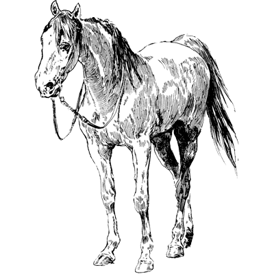 phinuss mbozo profile picture