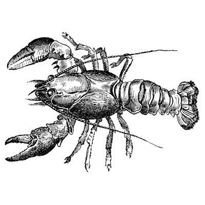 Kombo profile picture