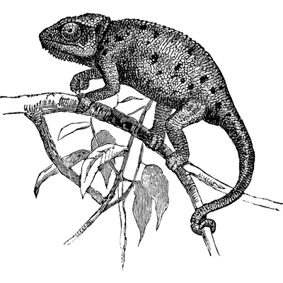 Roble profile picture