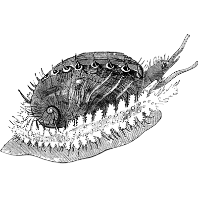 Dkdkdkdk profile picture