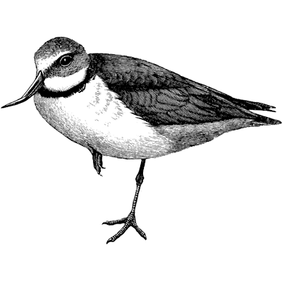 Jeef profile picture