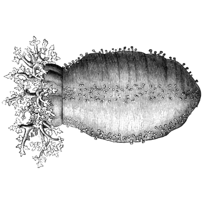 DUONG NGUYEN profile picture