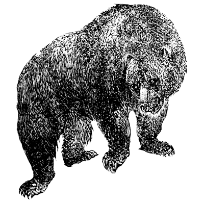 Franc profile picture