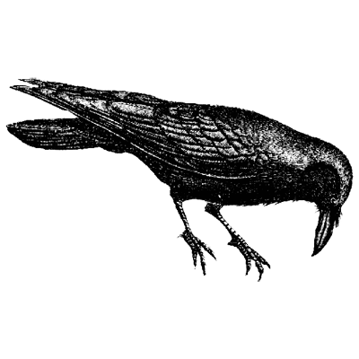 Jesus profile picture