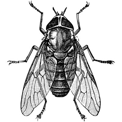 Bright profile picture